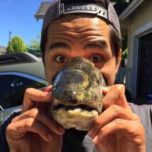 Meet your Posher, Lansen